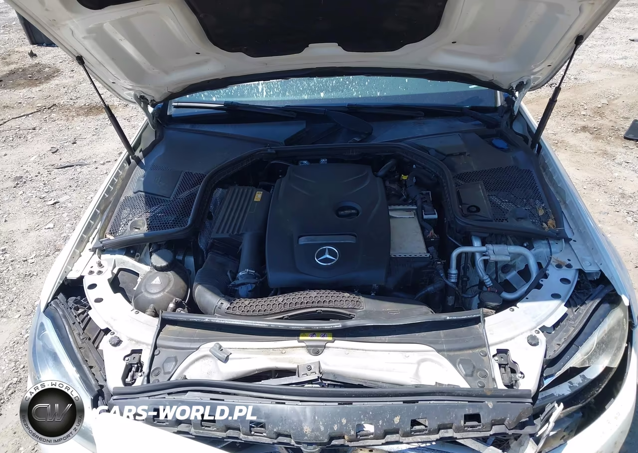 2017 Mercedes-Benz C 300 VIN:55SWF4JB8HU214567 - 10