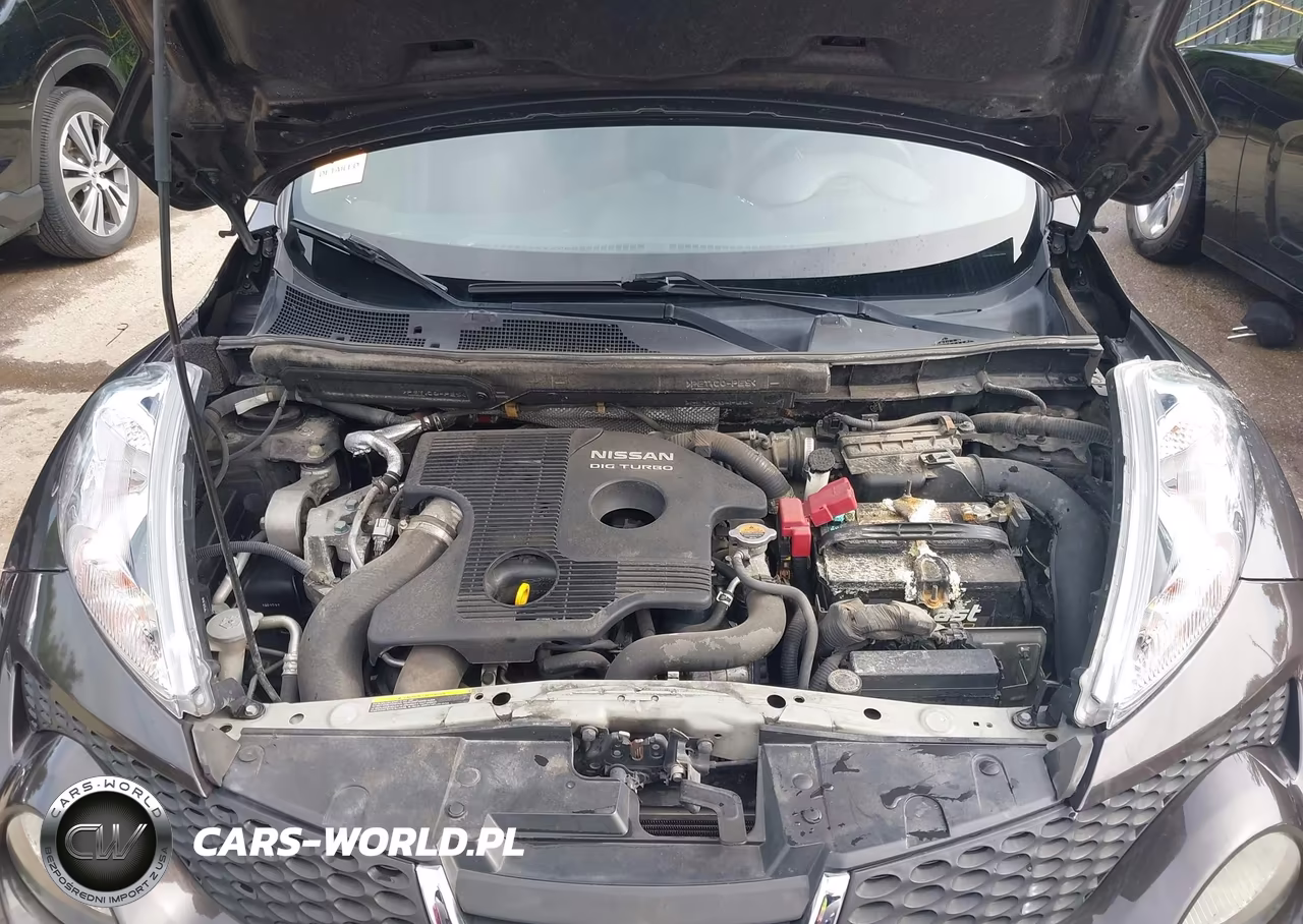2013 Nissan Juke S VIN:JN8AF5MR1DT224377 - 10
