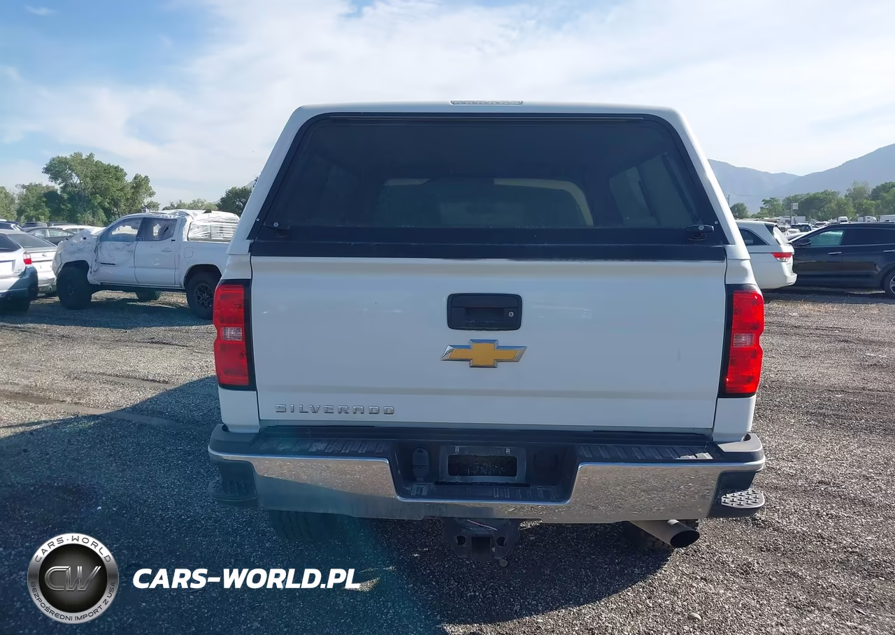 2018 Chevrolet Silverado 2500Hd Wt VIN:1GC1KUEG3JF259317 - 17