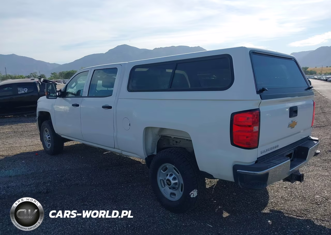 2018 Chevrolet Silverado 2500Hd Wt VIN:1GC1KUEG3JF259317 - 3