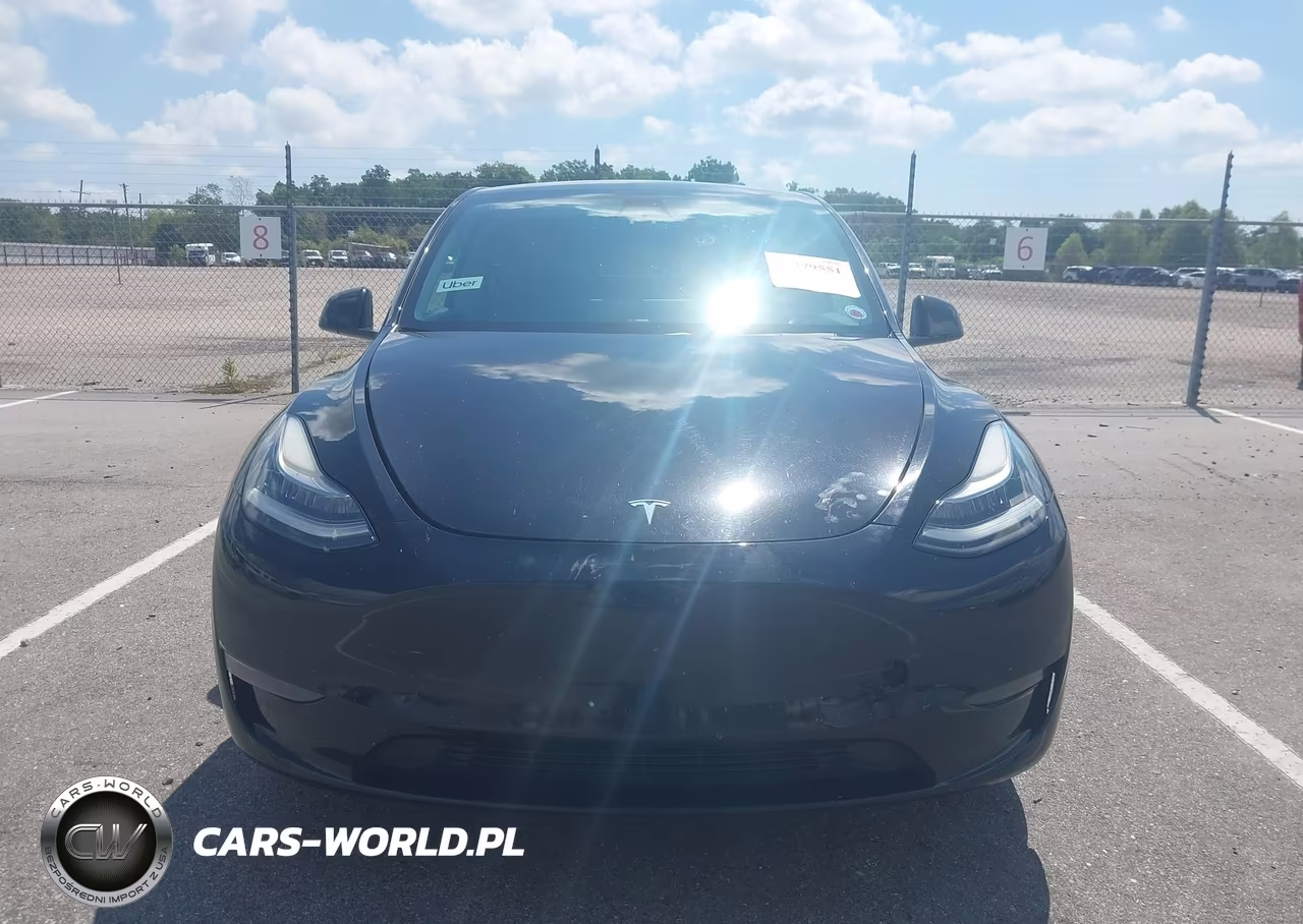 2020 Tesla Model Y Long Range Dual Motor All-Wheel Drive VIN:5YJYGDEE3LF029265 - 11