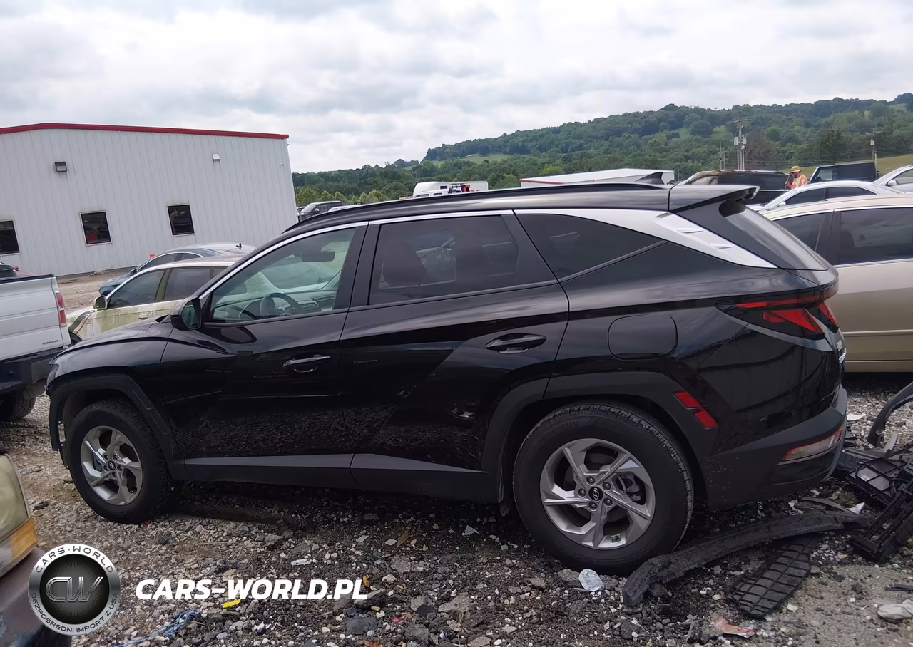 2024 Hyundai Tucson Sel VIN:KM8JB3DE2RU334165 - 15