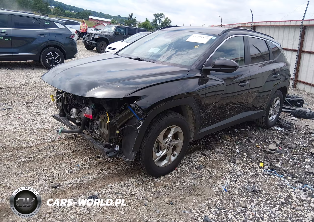 2024 Hyundai Tucson Sel VIN:KM8JB3DE2RU334165 - 2