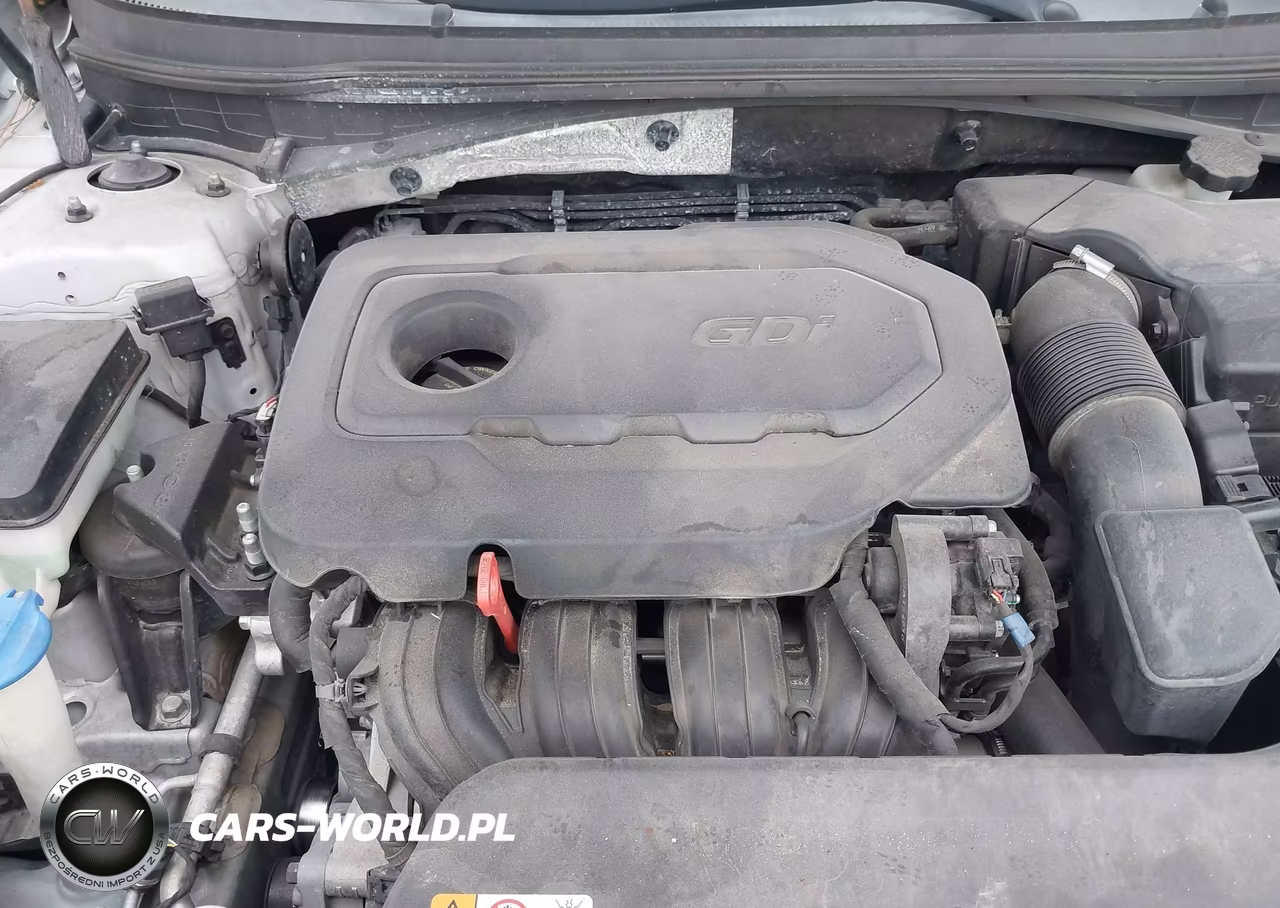 2016 Hyundai Sonata Se VIN:5NPE24AF5GH364423 - 10