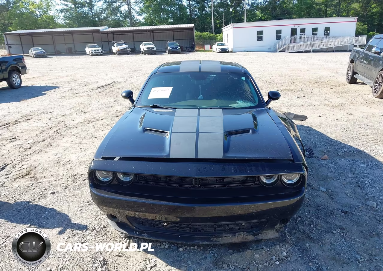 2019 Dodge Challenger Sxt VIN:2C3CDZAG3KH665737 - 12