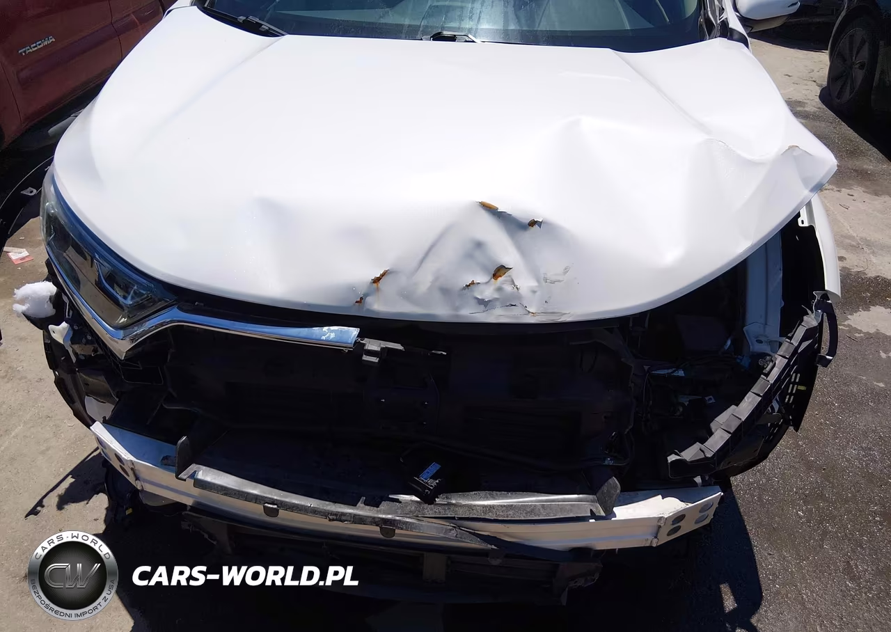 2019 Honda Cr-V Ex-L VIN:2HKRW1H89KH511704 - 6