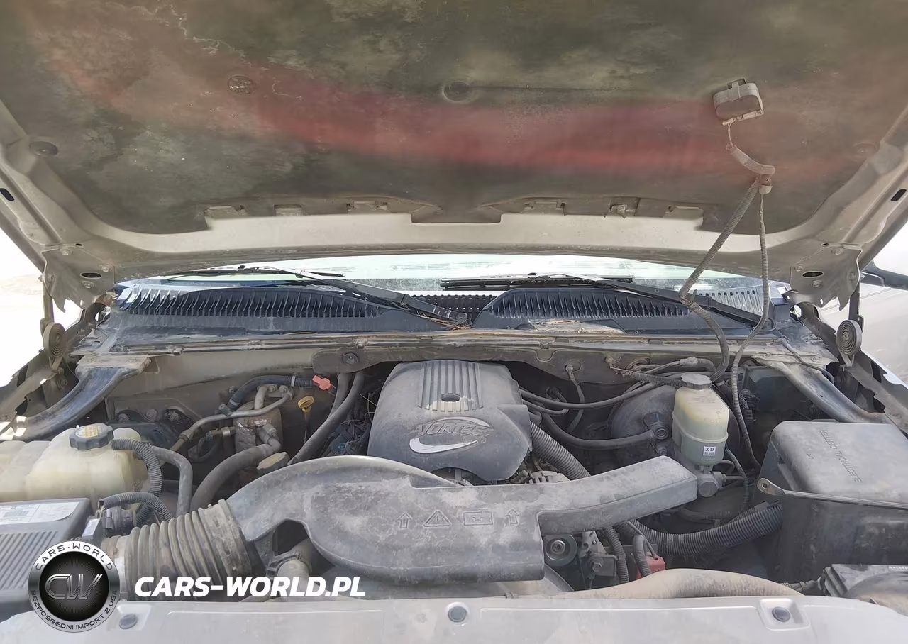 2002 Chevrolet Avalanche 1500 VIN:3GNEK13T12G141919 - 10