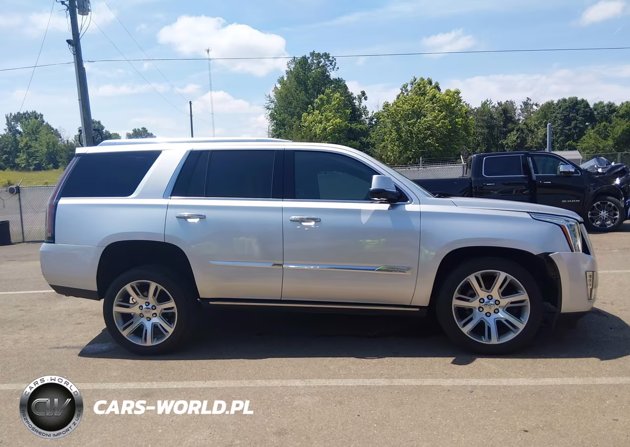 2015 Cadillac Escalade Premium VIN:1GYS3NKJ2FR715153 - 13