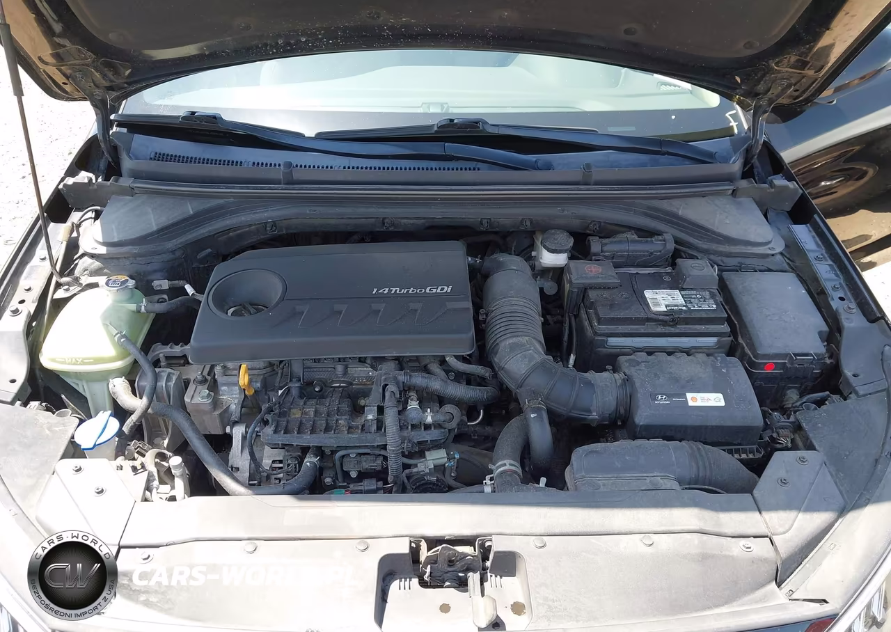 2020 Hyundai Elantra Eco VIN:5NPD94LA1LH599470 - 10