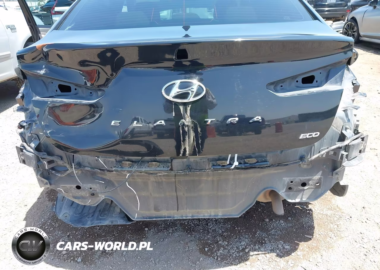2020 Hyundai Elantra Eco VIN:5NPD94LA1LH599470 - 6