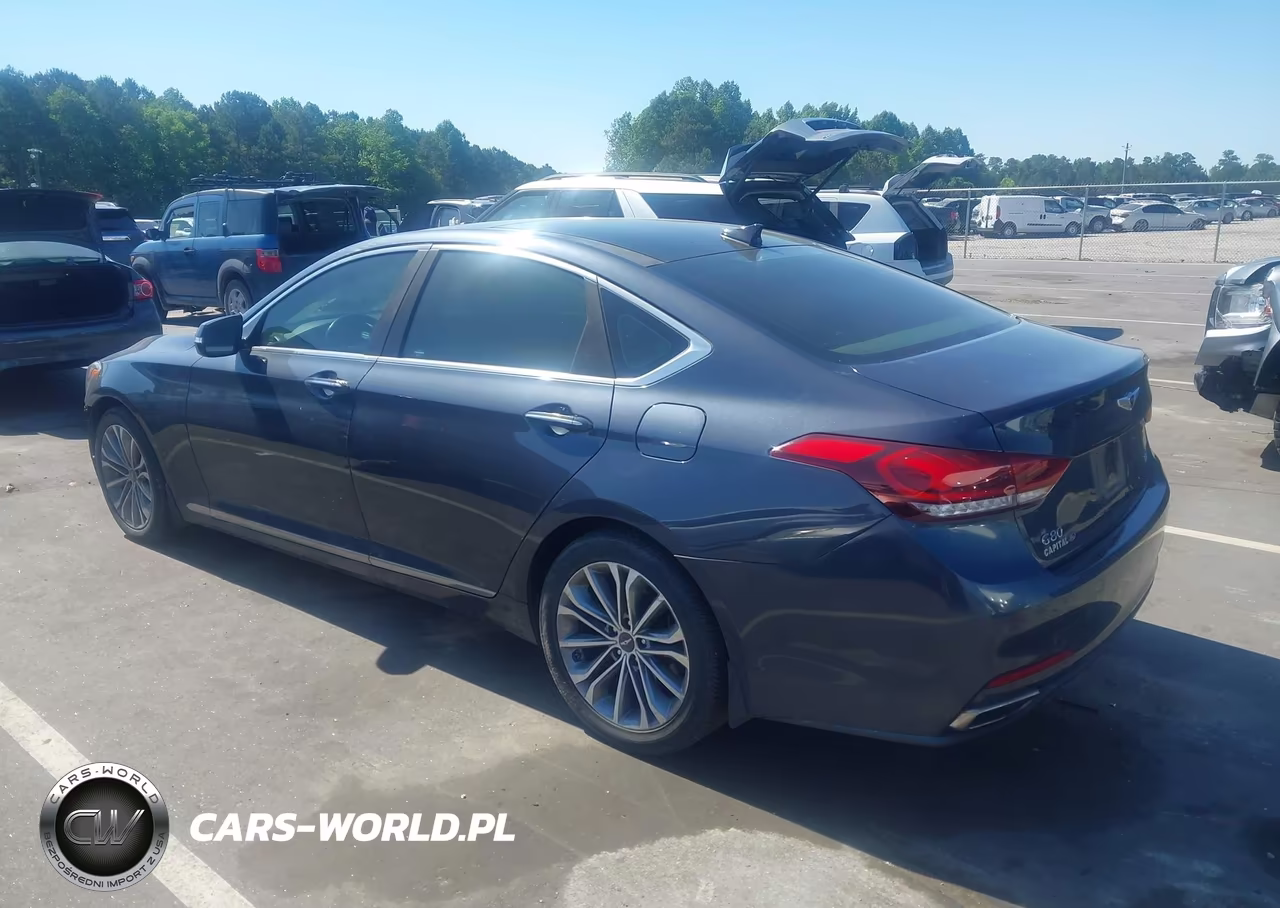 2017 Genesis G80 3.8 VIN:KMHGN4JE5HU178228 - 3