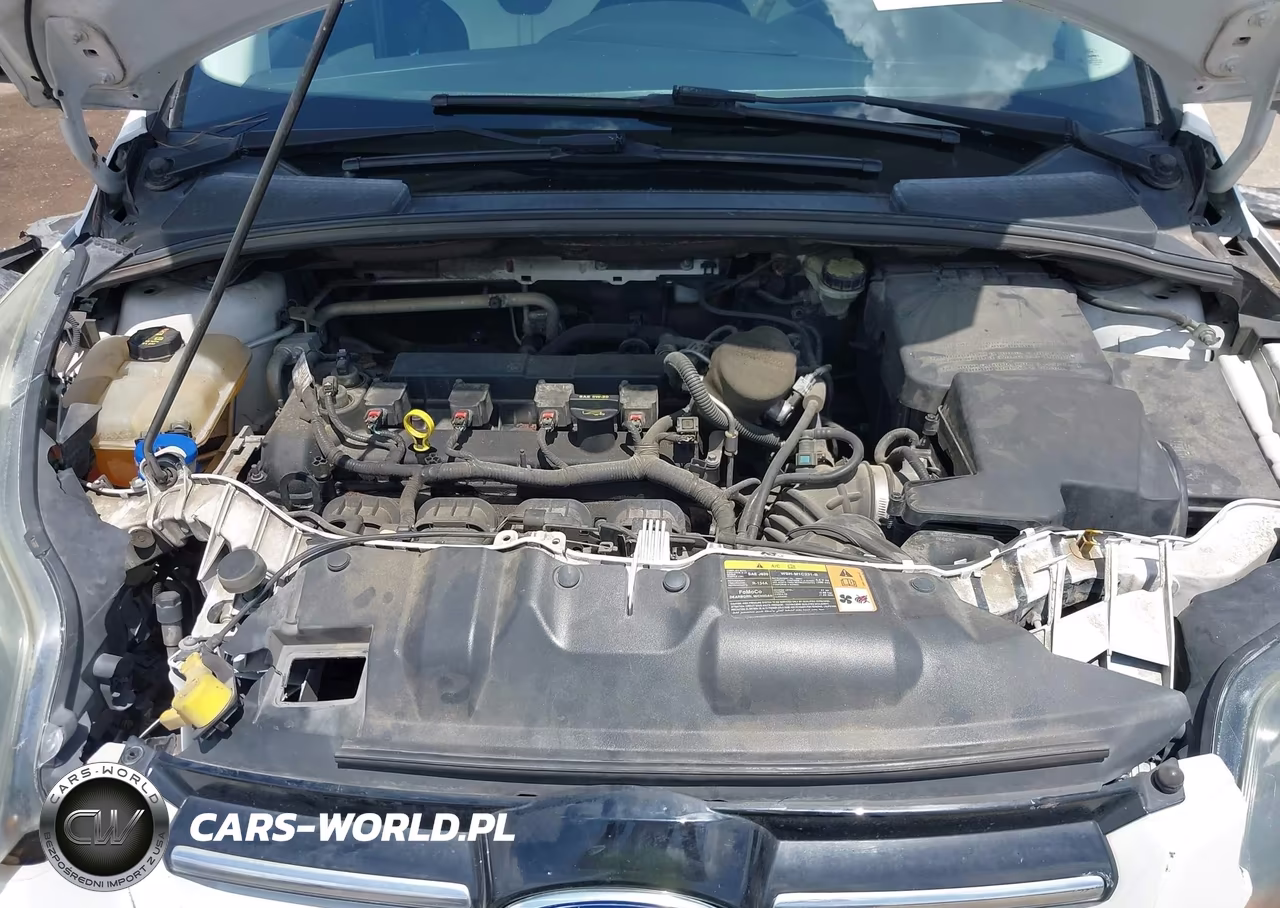 2014 Ford Focus Titanium VIN:1FADP3J24EL108695 - 10