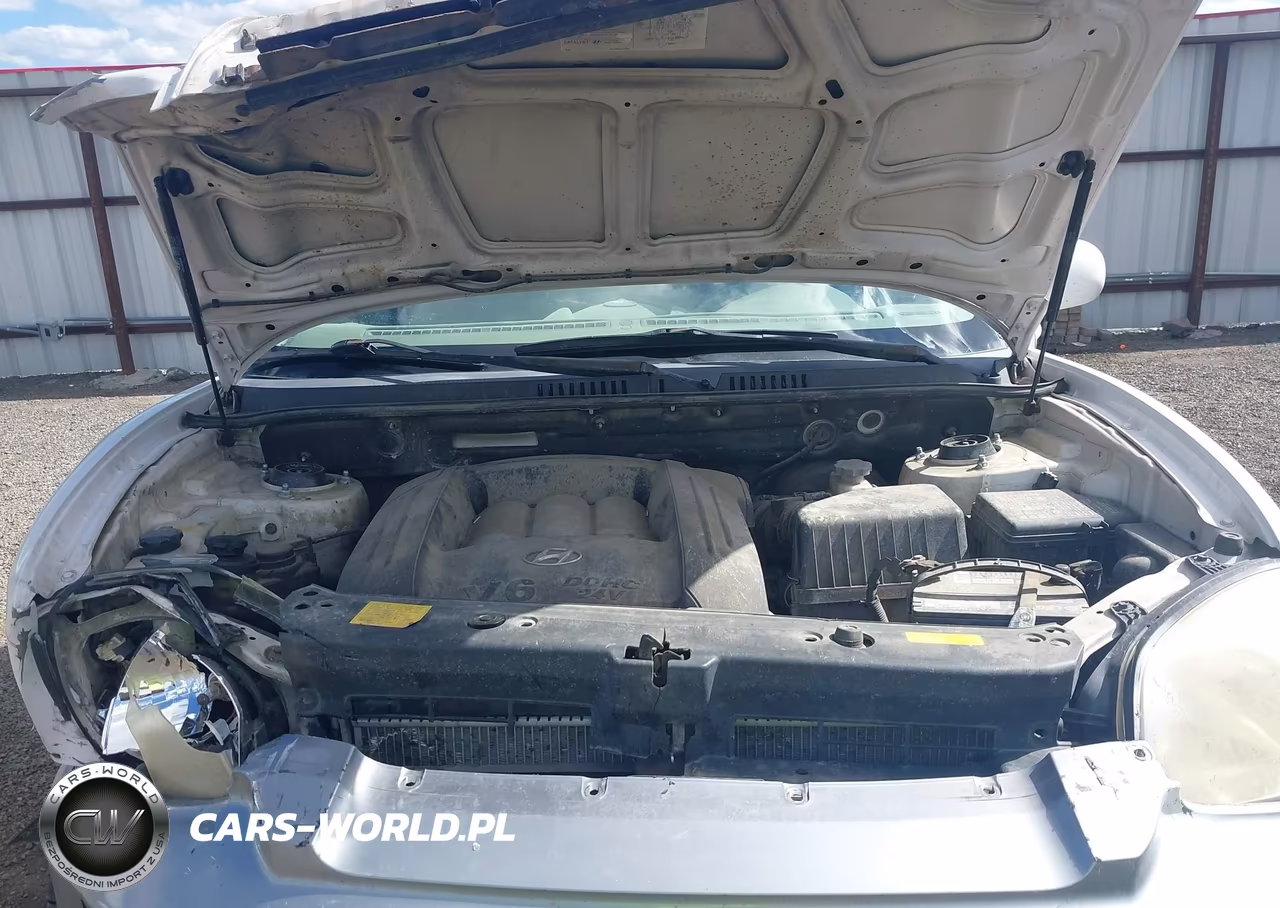 2005 Hyundai Santa Fe Gls VIN:KM8SC13DX5U947661 - 10