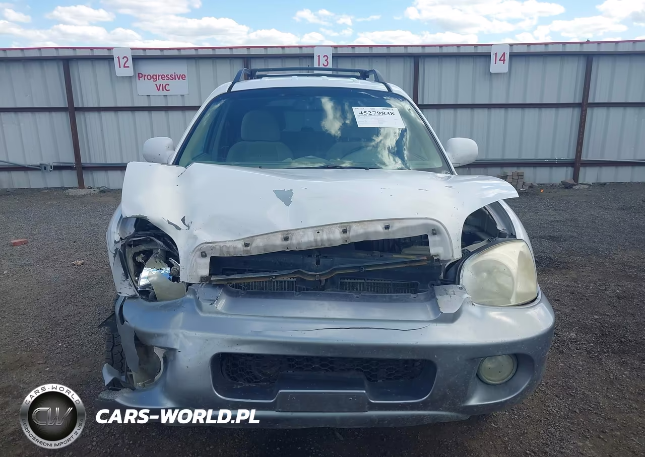 2005 Hyundai Santa Fe Gls VIN:KM8SC13DX5U947661 - 12