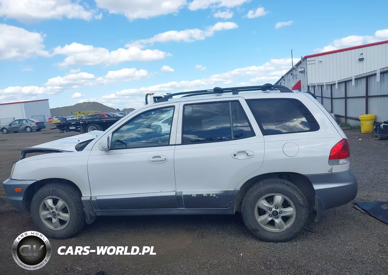 2005 Hyundai Santa Fe Gls VIN:KM8SC13DX5U947661 - 14