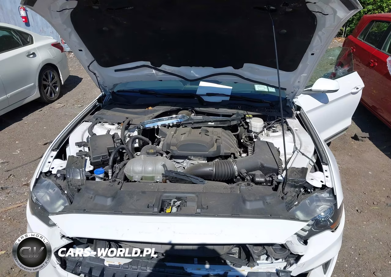 2020 Ford Mustang Ecoboost Premium Fastback VIN:1FA6P8TH9L5178623 - 10
