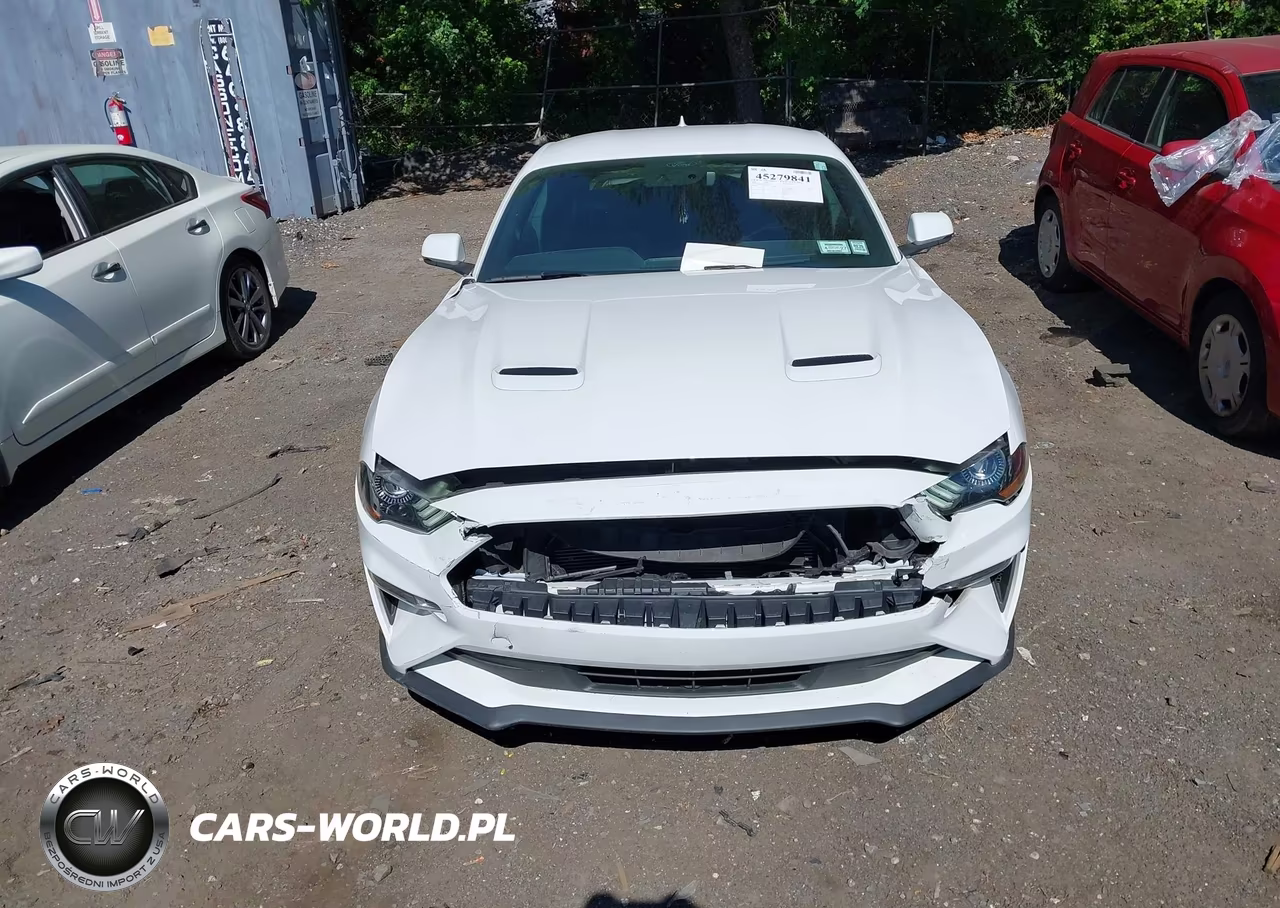 2020 Ford Mustang Ecoboost Premium Fastback VIN:1FA6P8TH9L5178623 - 12