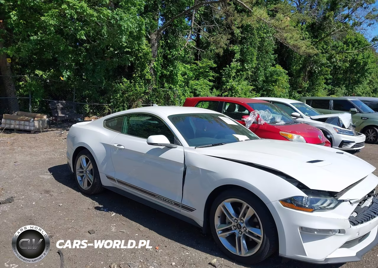 2020 Ford Mustang Ecoboost Premium Fastback VIN:1FA6P8TH9L5178623 - 13