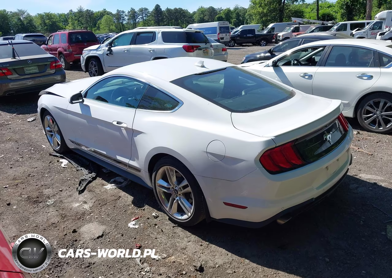 2020 Ford Mustang Ecoboost Premium Fastback VIN:1FA6P8TH9L5178623 - 14