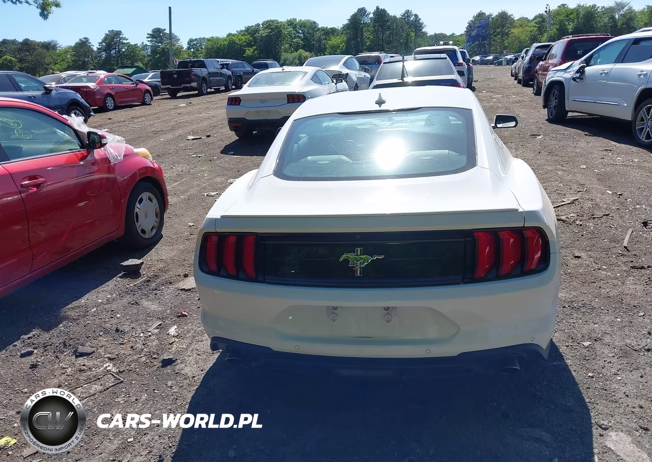 2020 Ford Mustang Ecoboost Premium Fastback VIN:1FA6P8TH9L5178623 - 16