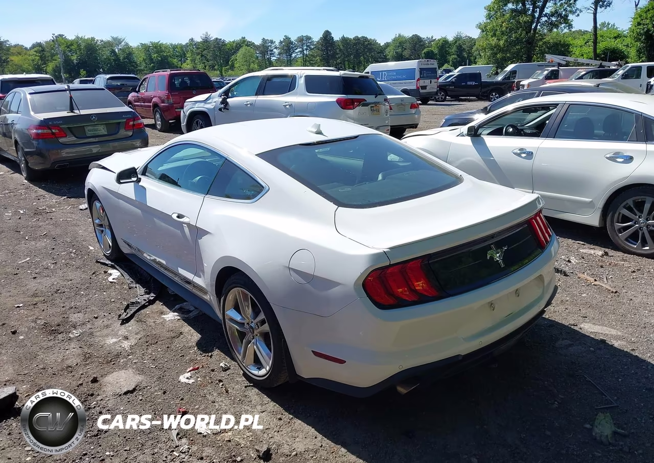 2020 Ford Mustang Ecoboost Premium Fastback VIN:1FA6P8TH9L5178623 - 3