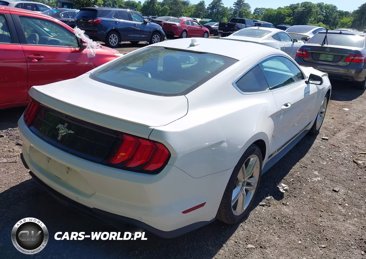 2020 Ford Mustang Ecoboost Premium Fastback VIN:1FA6P8TH9L5178623 - 4