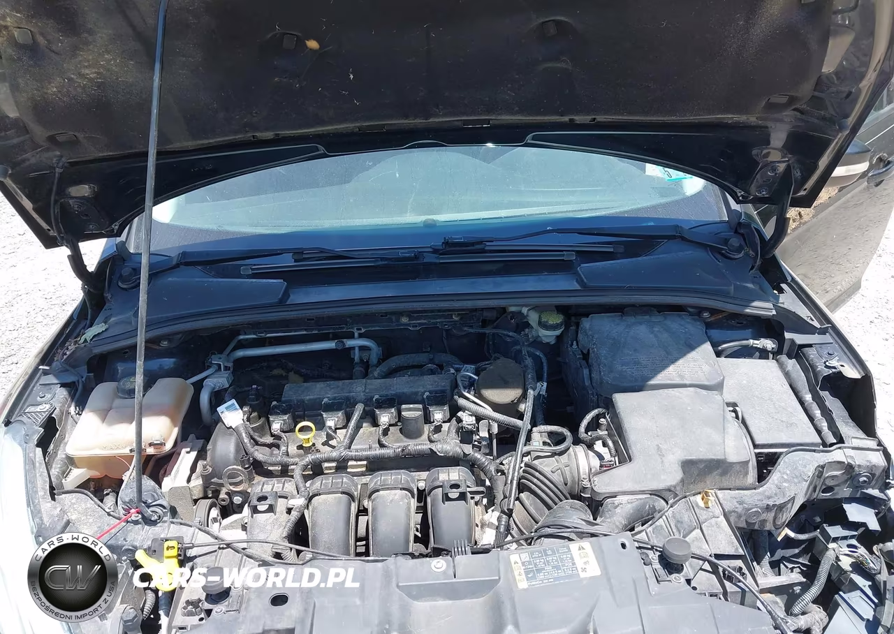 2015 Ford Focus Se VIN:1FADP3F27FL253109 - 10