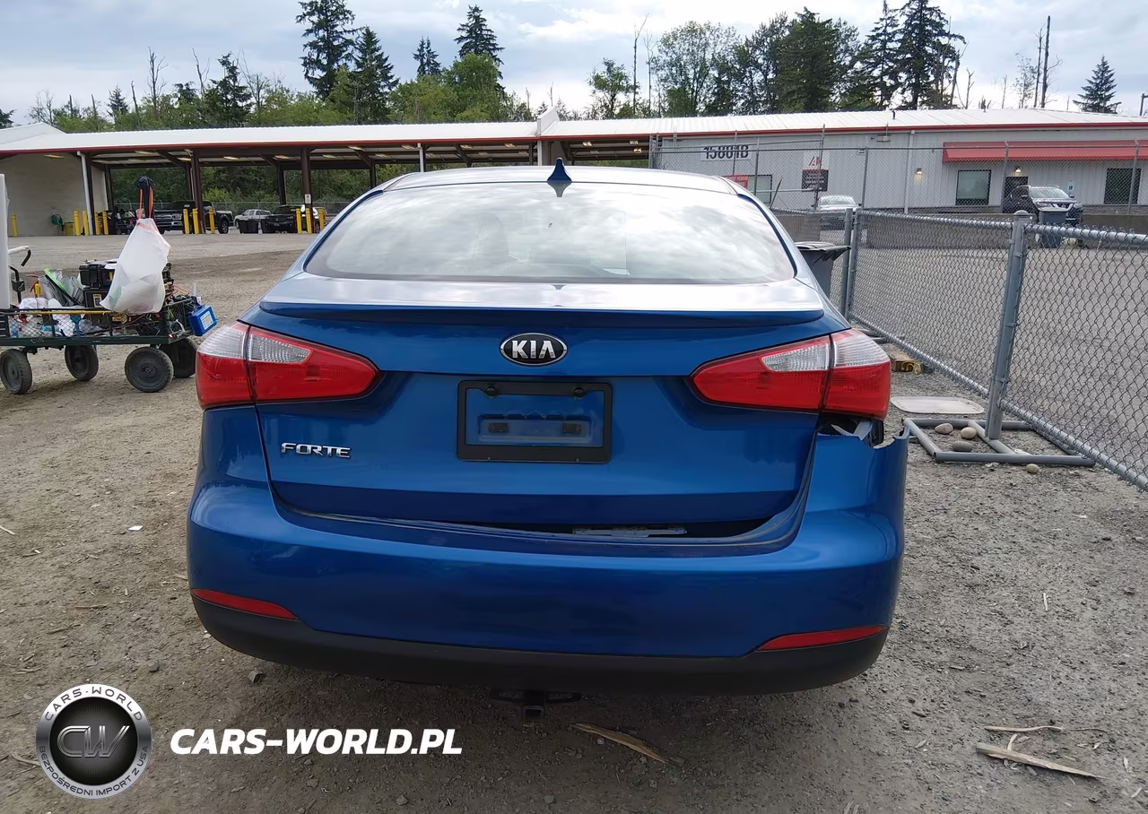 2014 Kia Forte Lx VIN:KNAFX4A6XE5221399 - 17