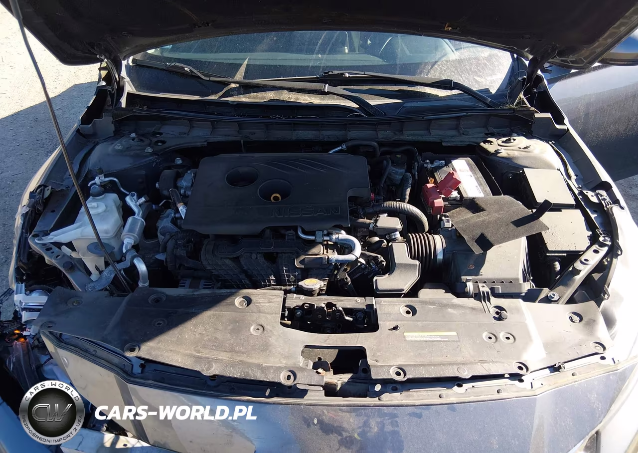 2019 Nissan Altima 2.5 Sv VIN:1N4BL4DW7KC143816 - 10