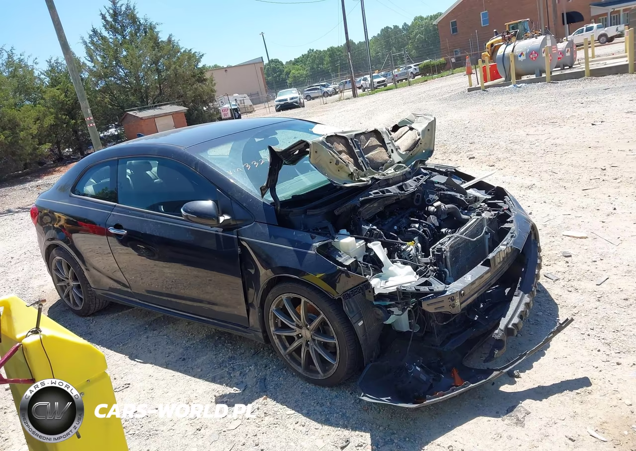 2015 Kia Forte Koup Sx VIN:KNAFZ6A32F5332817 - 13