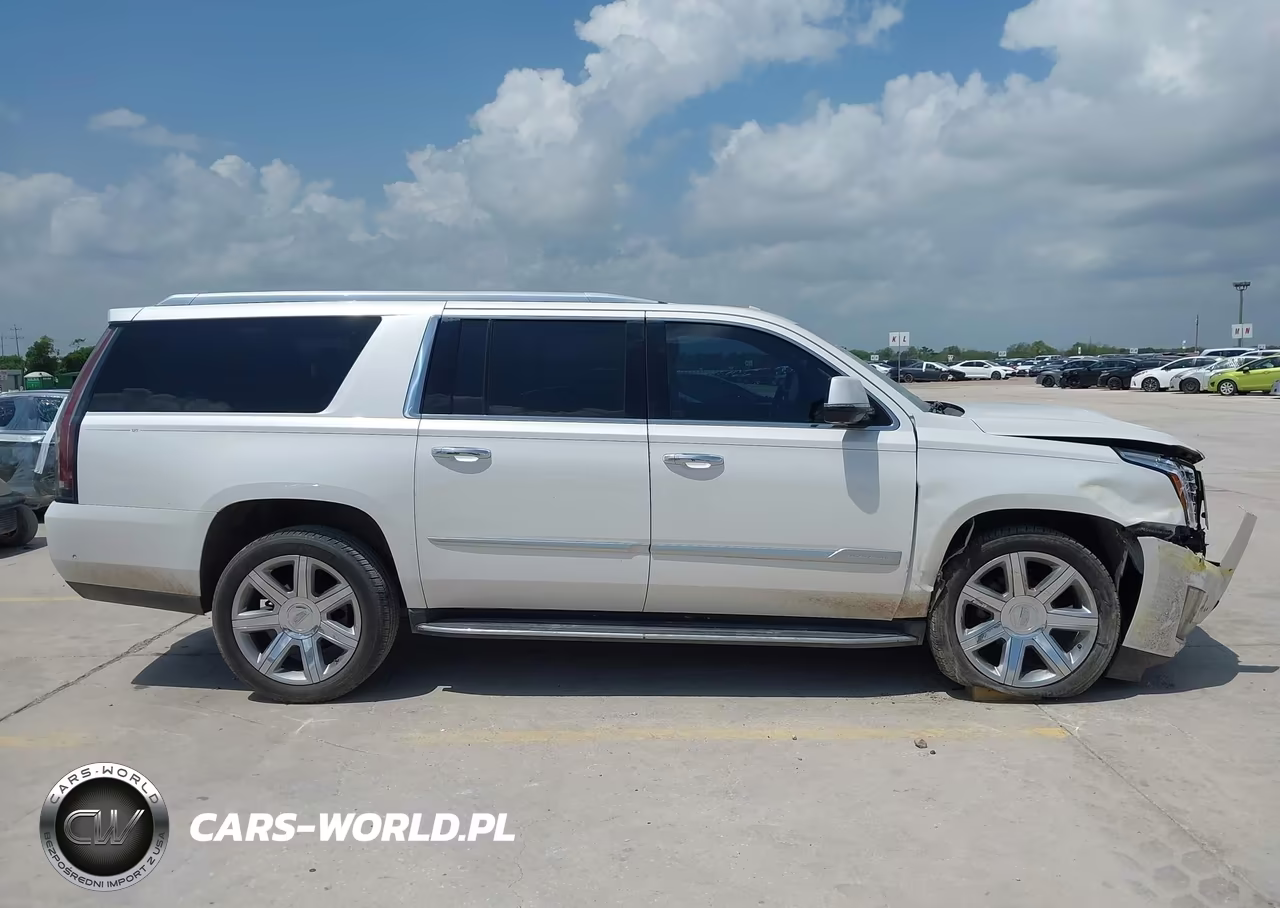 2019 Cadillac Escalade Esv Luxury VIN:1GYS3HKJ9KR174078 - 13