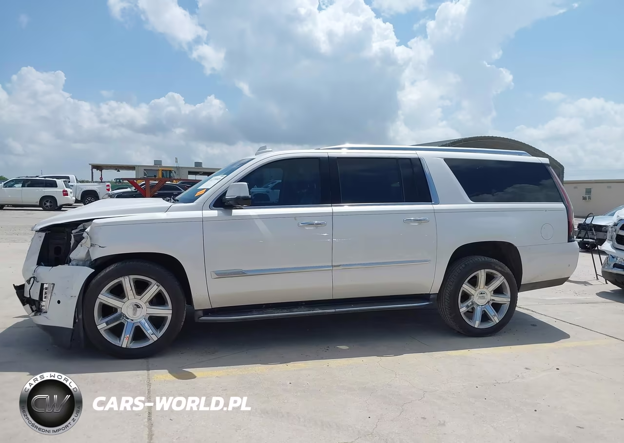 2019 Cadillac Escalade Esv Luxury VIN:1GYS3HKJ9KR174078 - 14