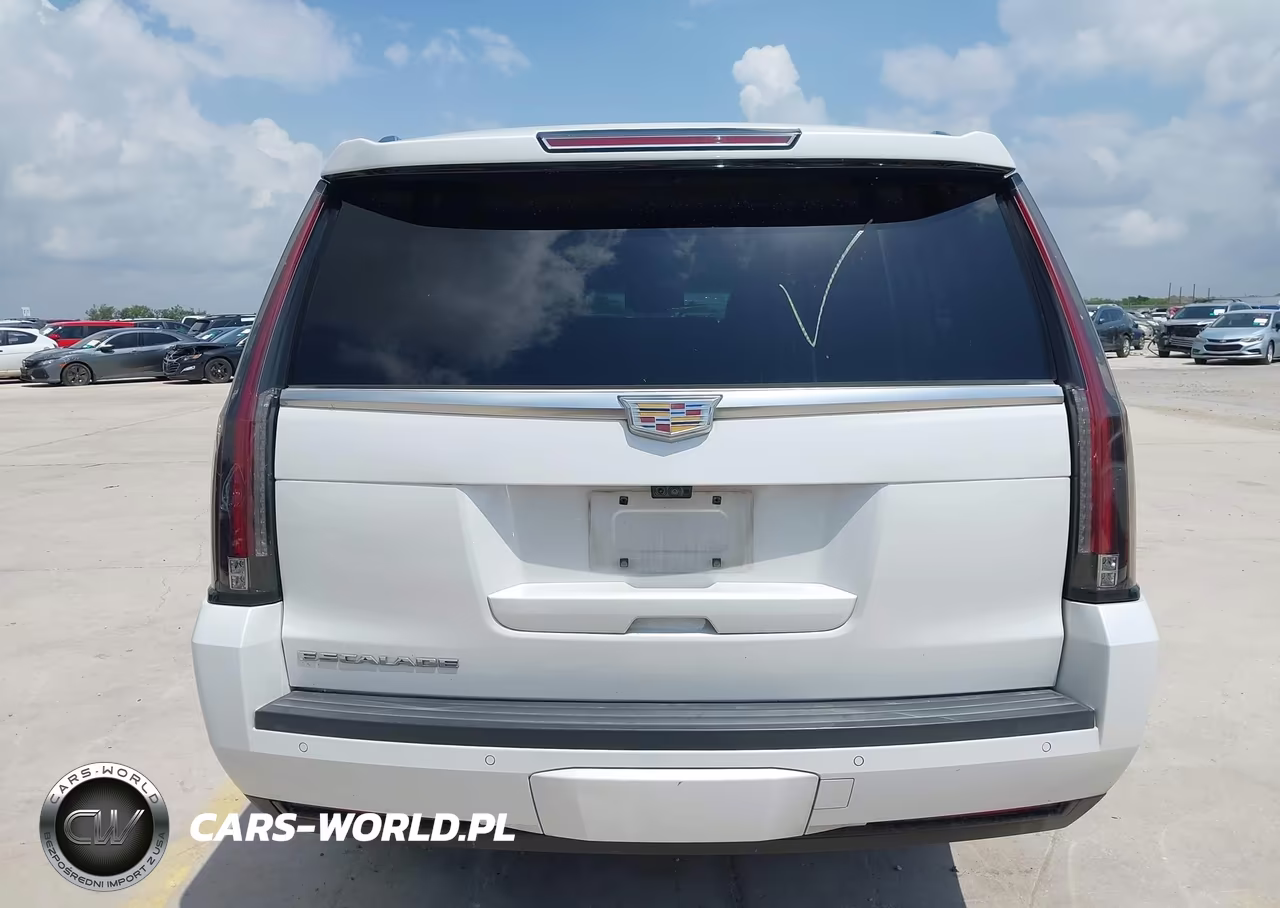 2019 Cadillac Escalade Esv Luxury VIN:1GYS3HKJ9KR174078 - 16