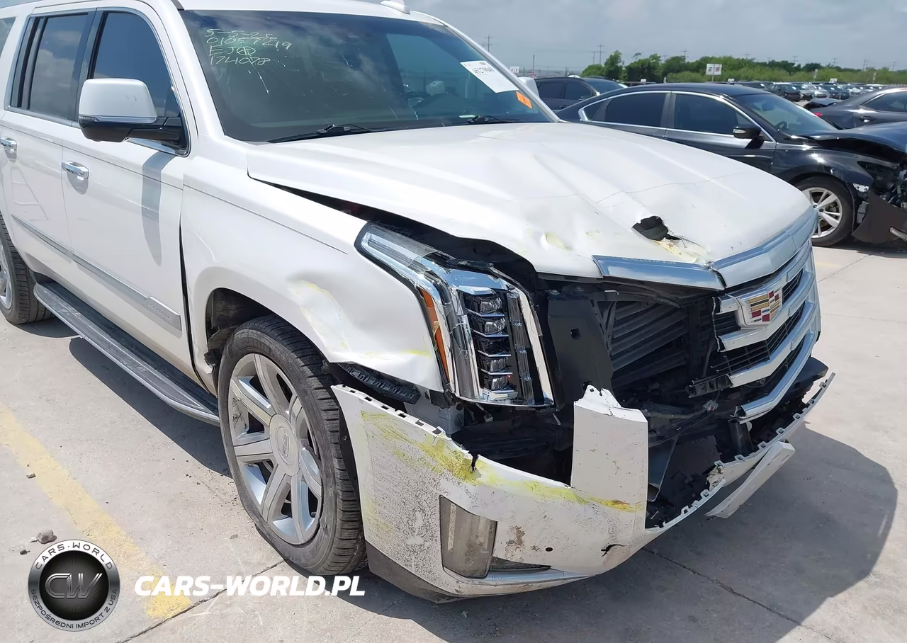 2019 Cadillac Escalade Esv Luxury VIN:1GYS3HKJ9KR174078 - 18