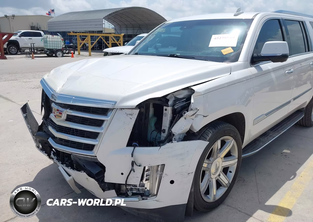 2019 Cadillac Escalade Esv Luxury VIN:1GYS3HKJ9KR174078 - 6