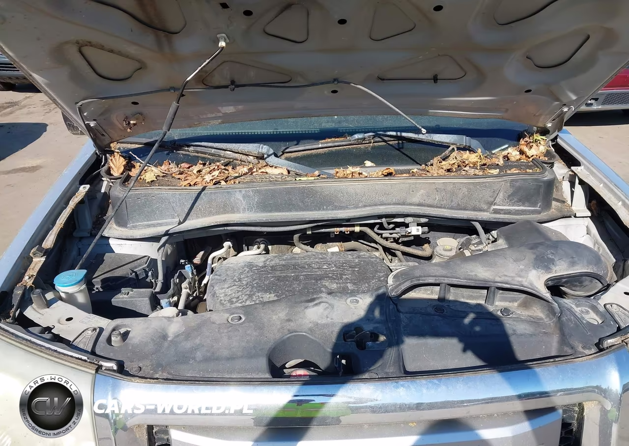 2009 Honda Pilot Lx VIN:5FNYF48229B051626 - 10