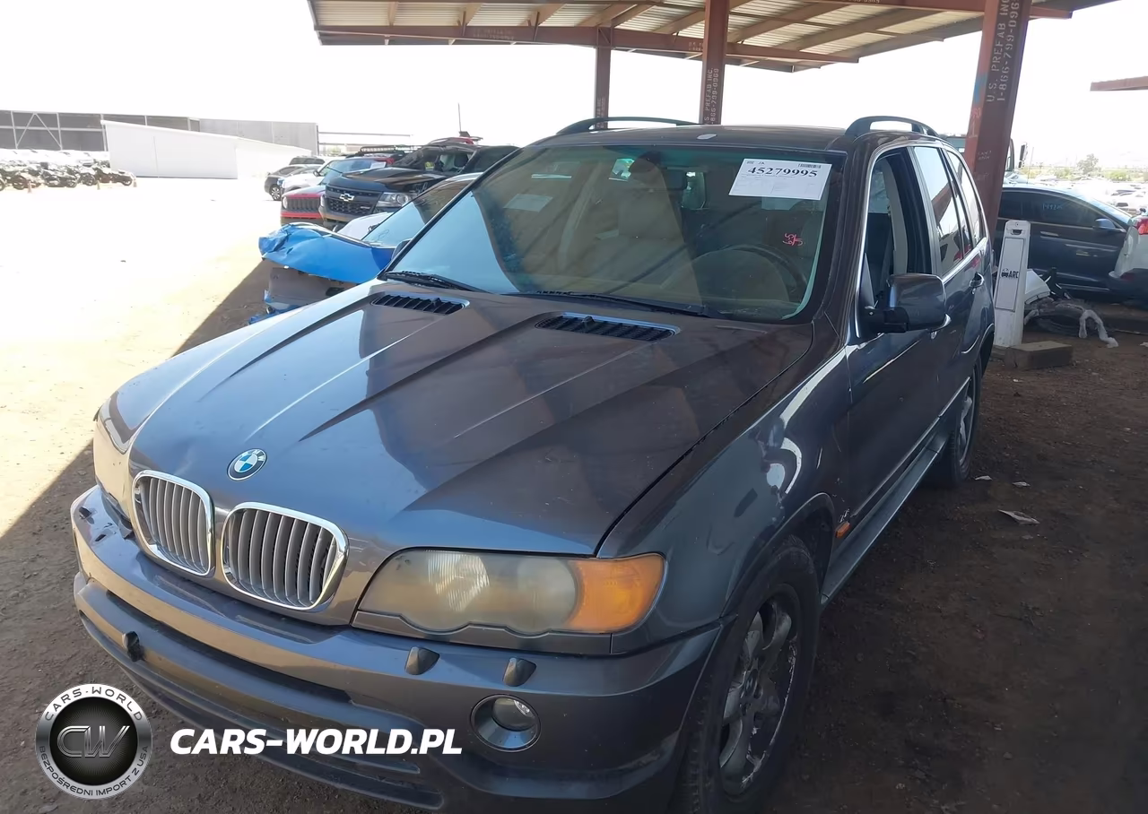 2003 BMW X5 4.4I VIN:5UXFB33523LH42448 - 2
