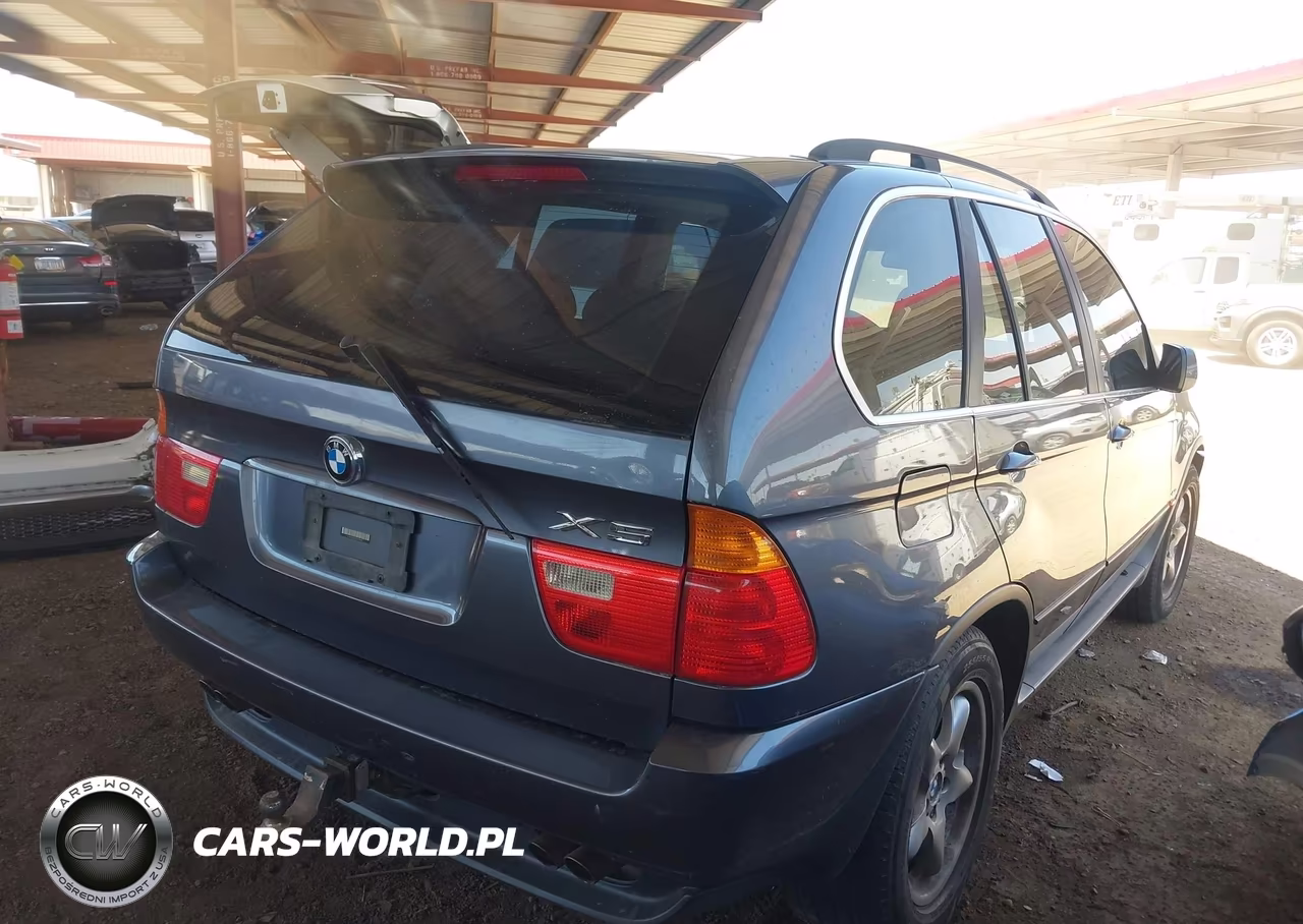 2003 BMW X5 4.4I VIN:5UXFB33523LH42448 - 4