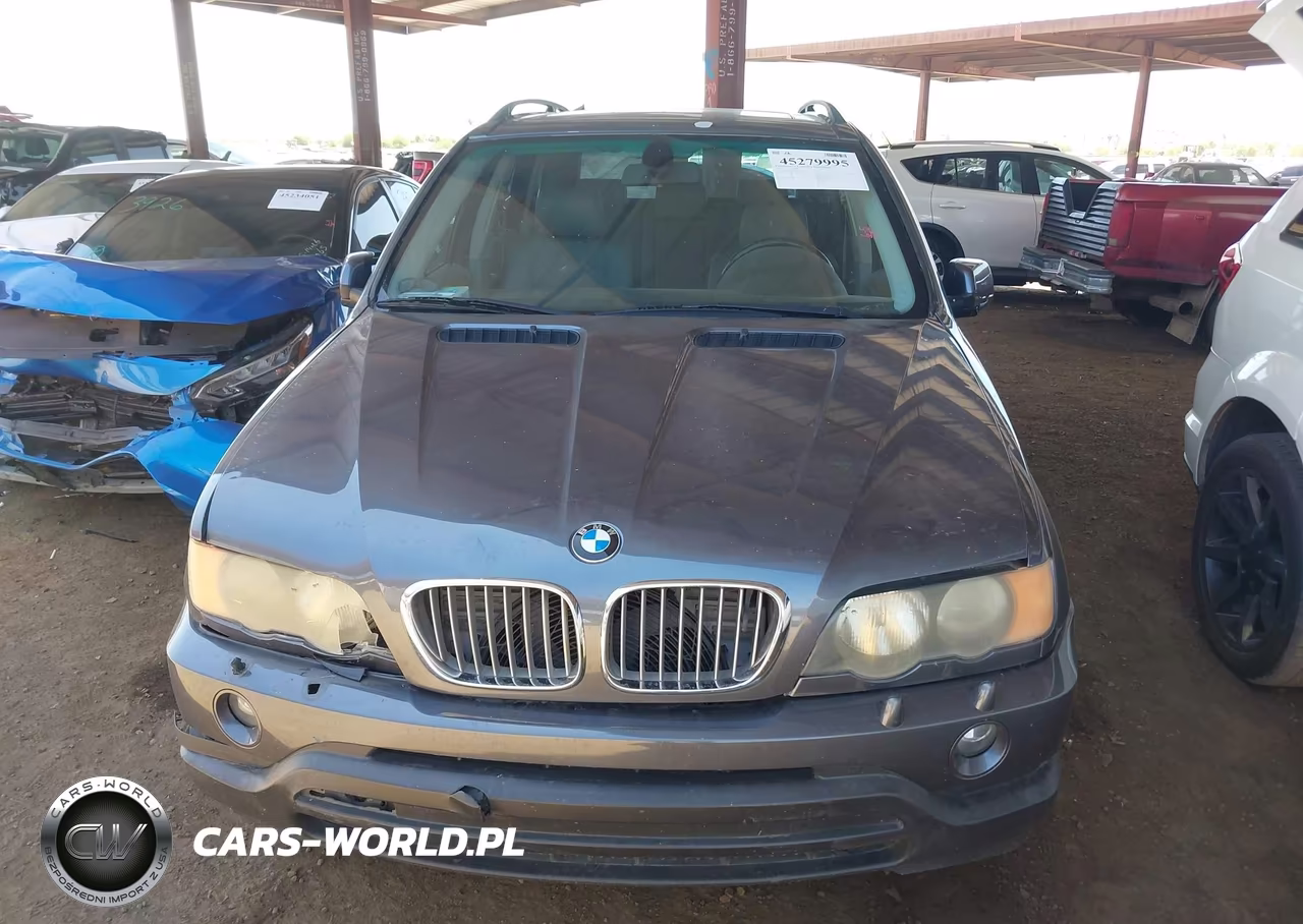 2003 BMW X5 4.4I VIN:5UXFB33523LH42448 - 6