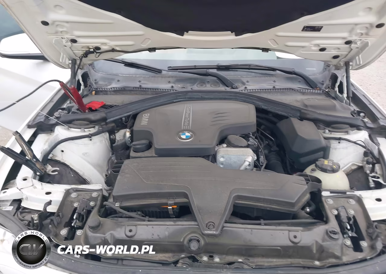 2015 BMW 428I VIN:WBA3N7C56FK225483 - 10