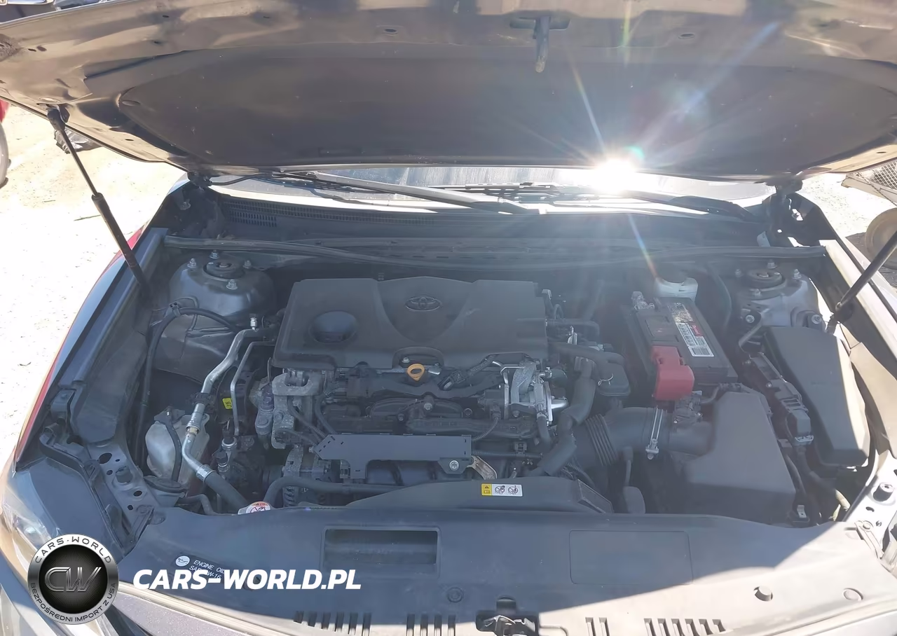 2019 Toyota Camry Le VIN:4T1B11HK2KU789874 - 10