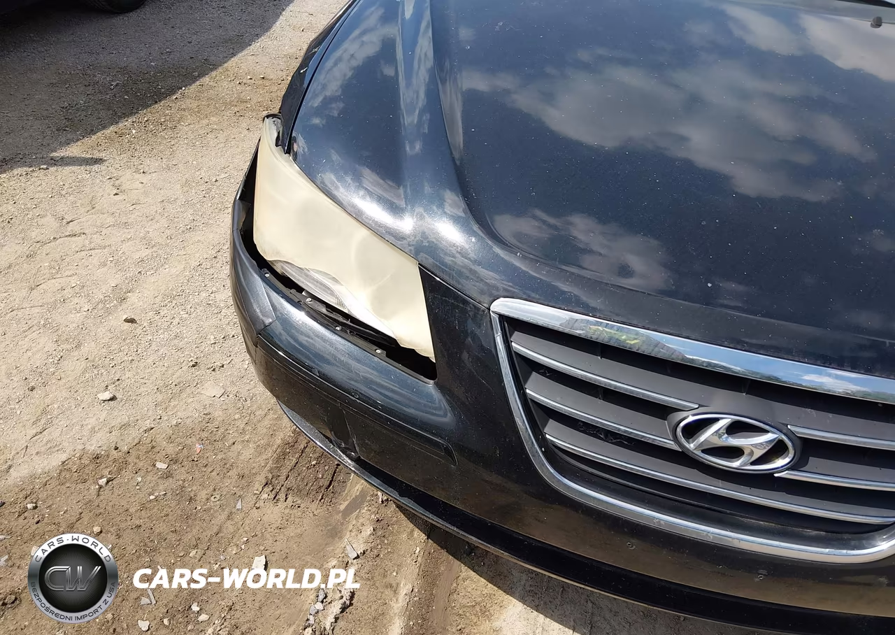 2010 Hyundai Sonata Gls VIN:5NPET4AC7AH603254 - 13