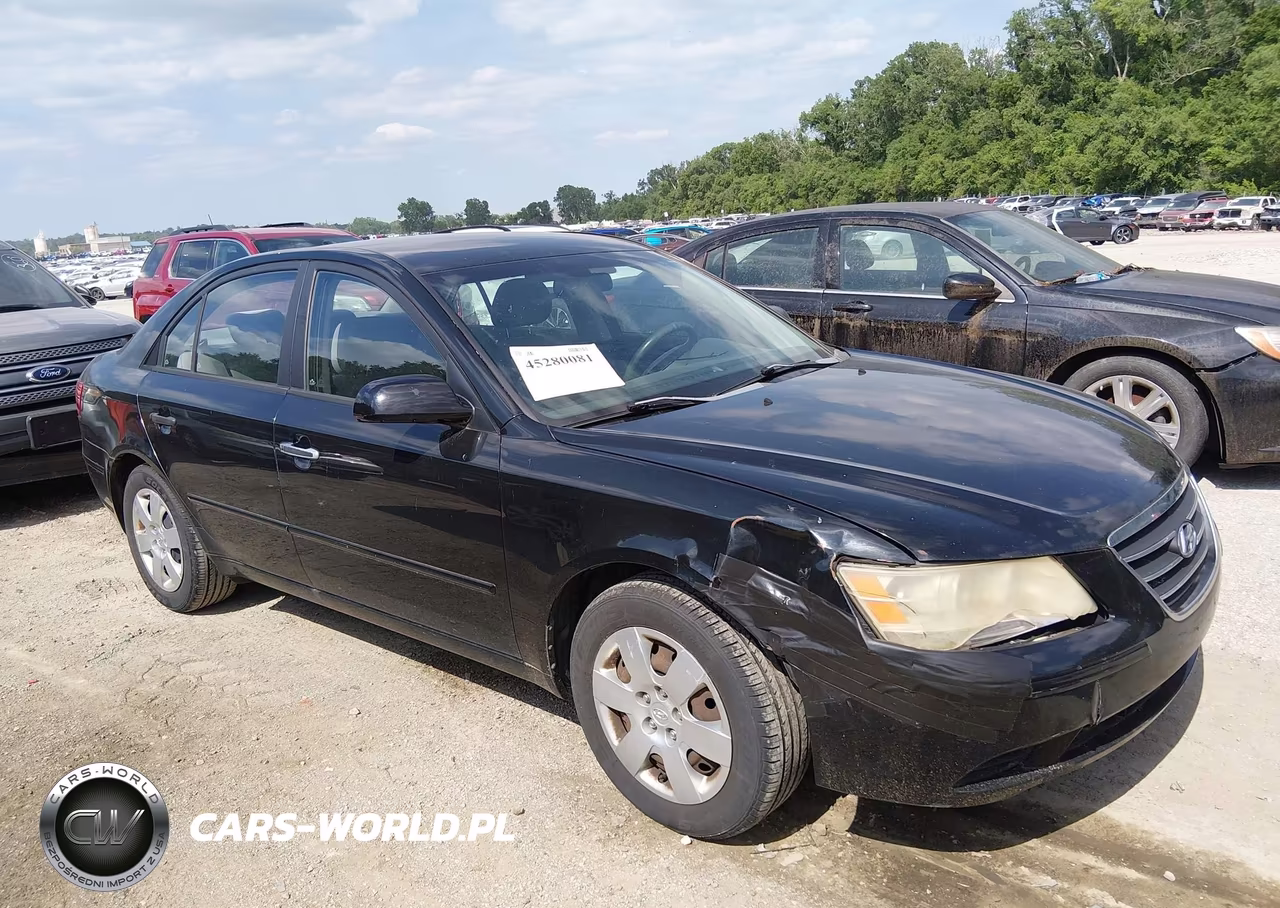 2010 Hyundai Sonata Gls VIN:5NPET4AC7AH603254 - 6