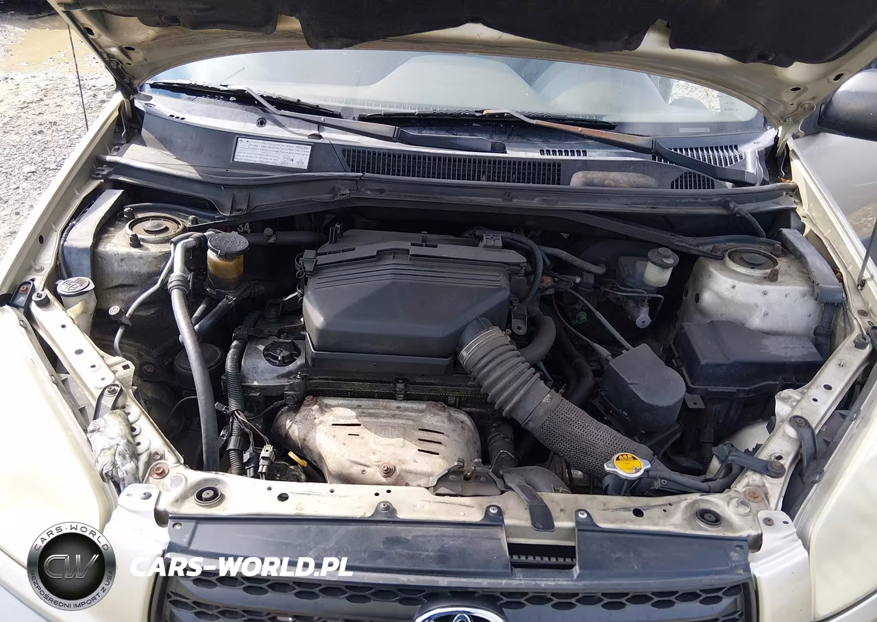 2001 Toyota Rav4 VIN:JTEHH20V110045528 - 10