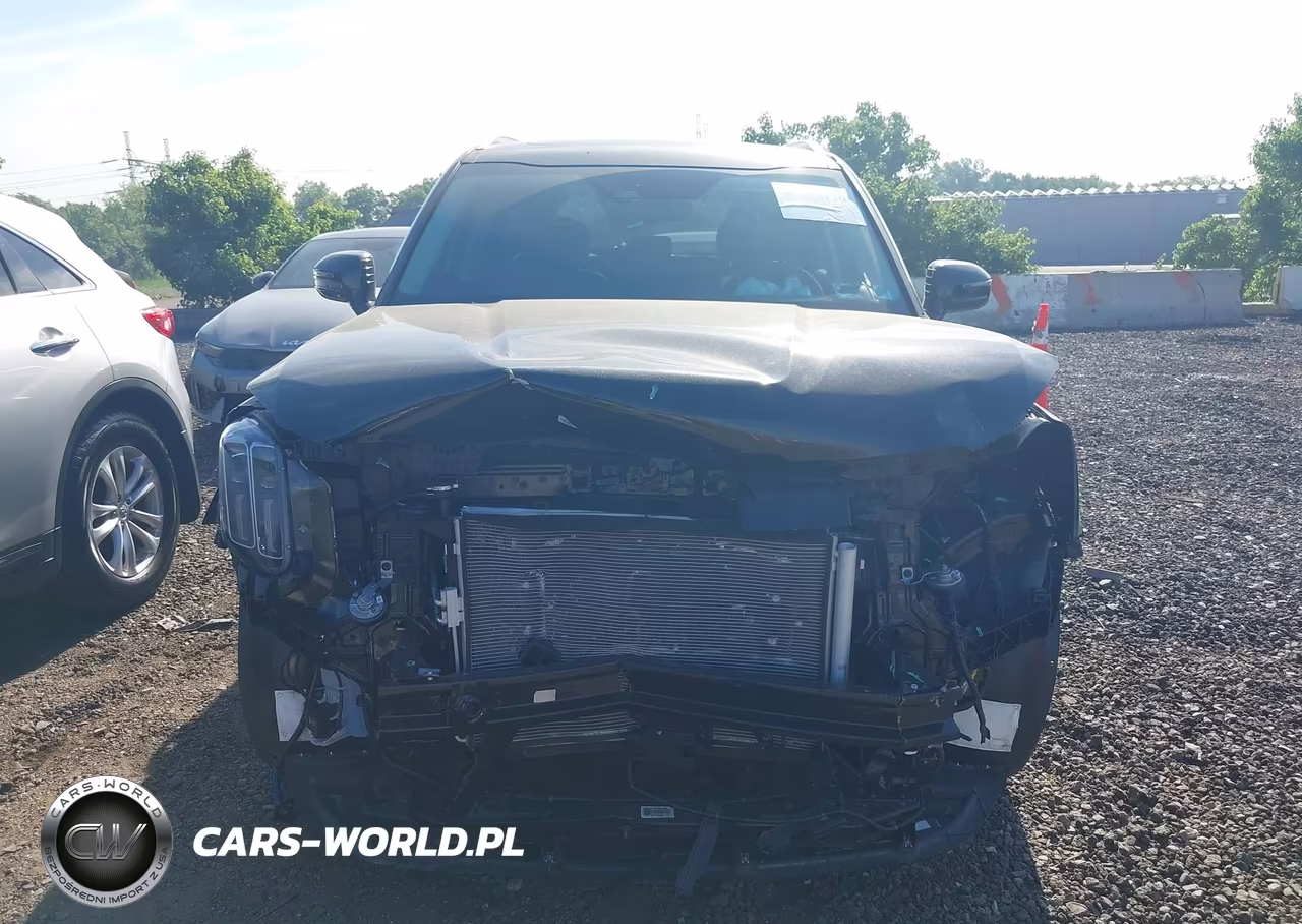 2025 Kia Telluride Sx VIN:5XYP54GC2SG692041 - 12