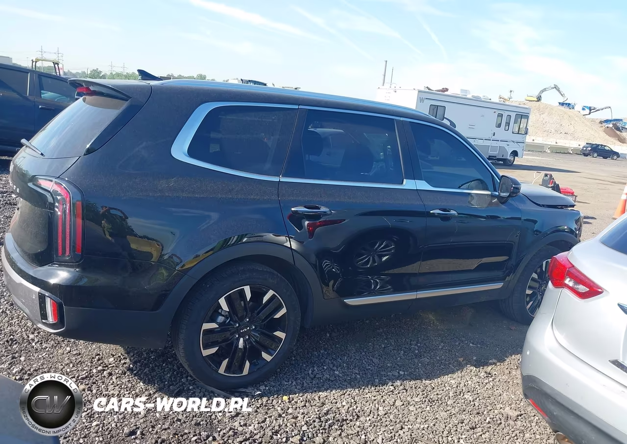 2025 Kia Telluride Sx VIN:5XYP54GC2SG692041 - 13