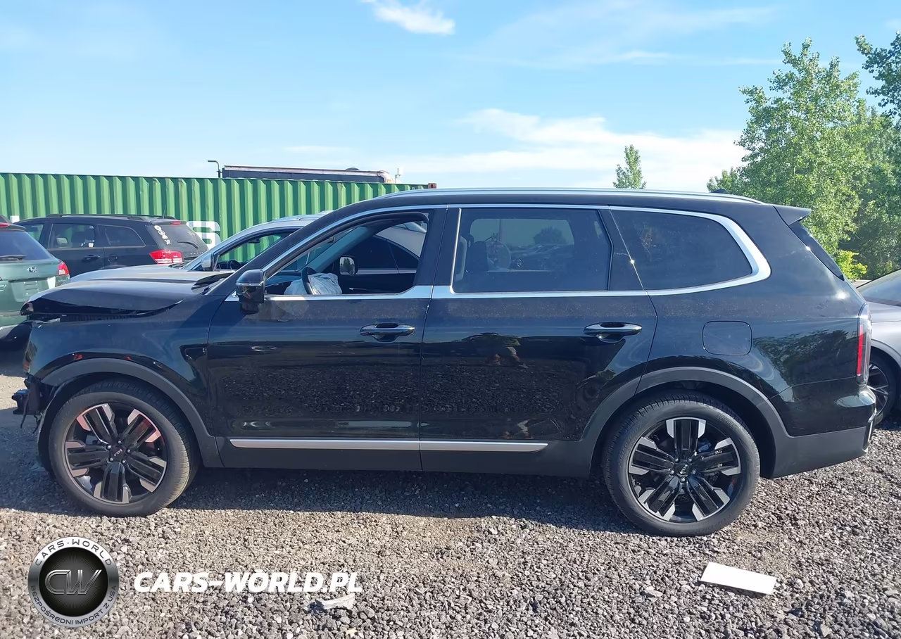 2025 Kia Telluride Sx VIN:5XYP54GC2SG692041 - 14