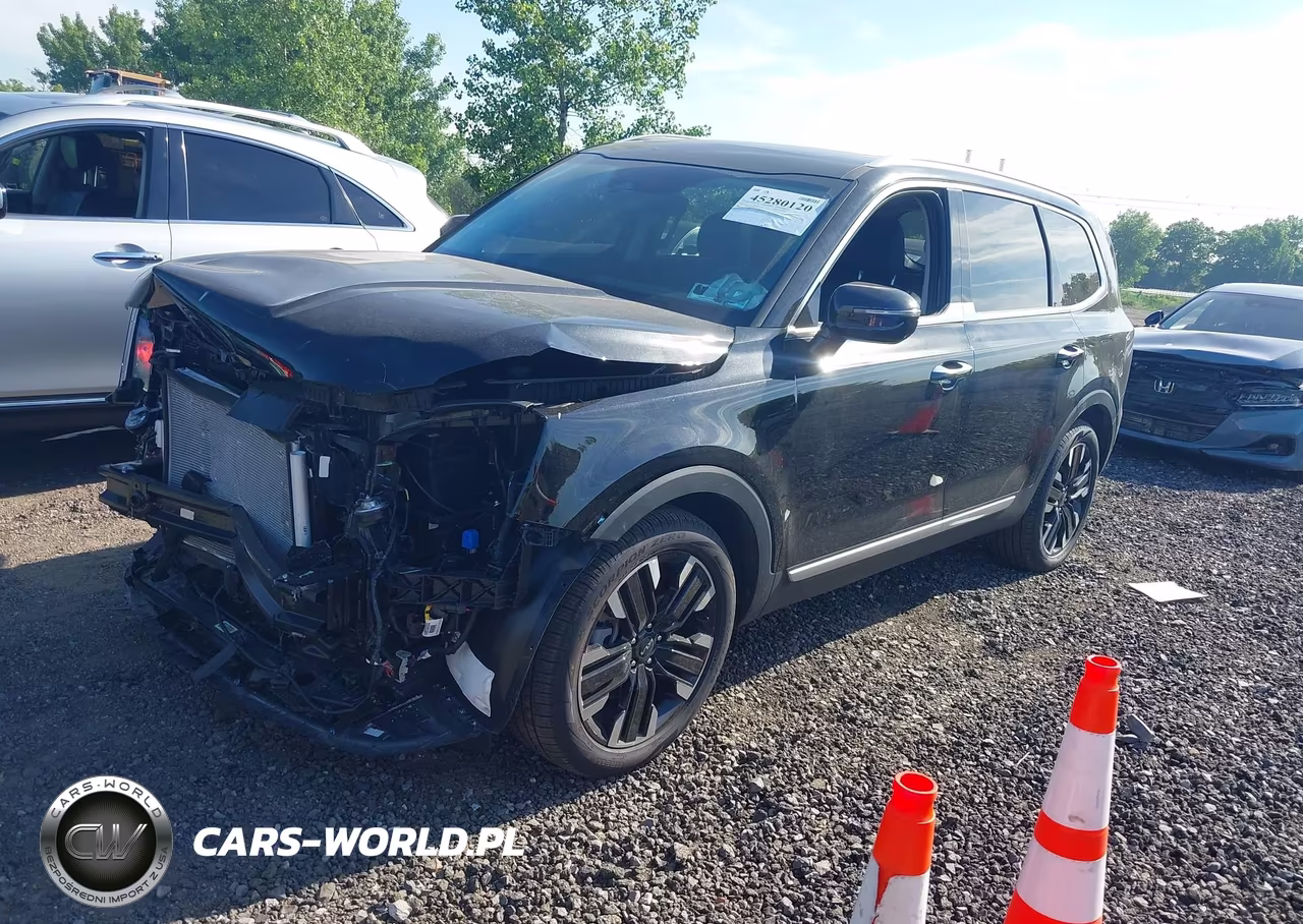 2025 Kia Telluride Sx VIN:5XYP54GC2SG692041 - 2