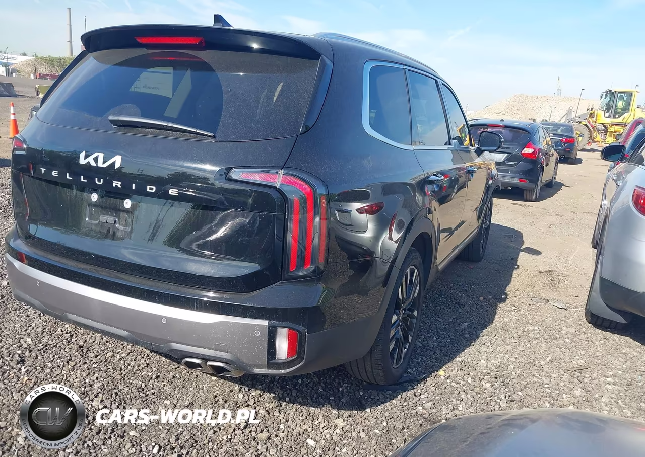 2025 Kia Telluride Sx VIN:5XYP54GC2SG692041 - 4