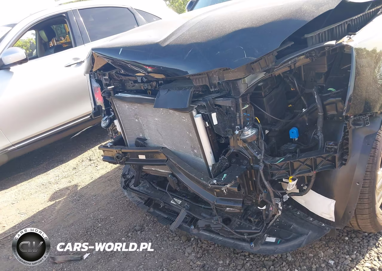 2025 Kia Telluride Sx VIN:5XYP54GC2SG692041 - 6